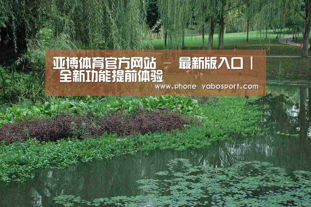 案例展示一(图1)