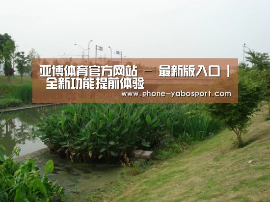 案例展示四(图1)
