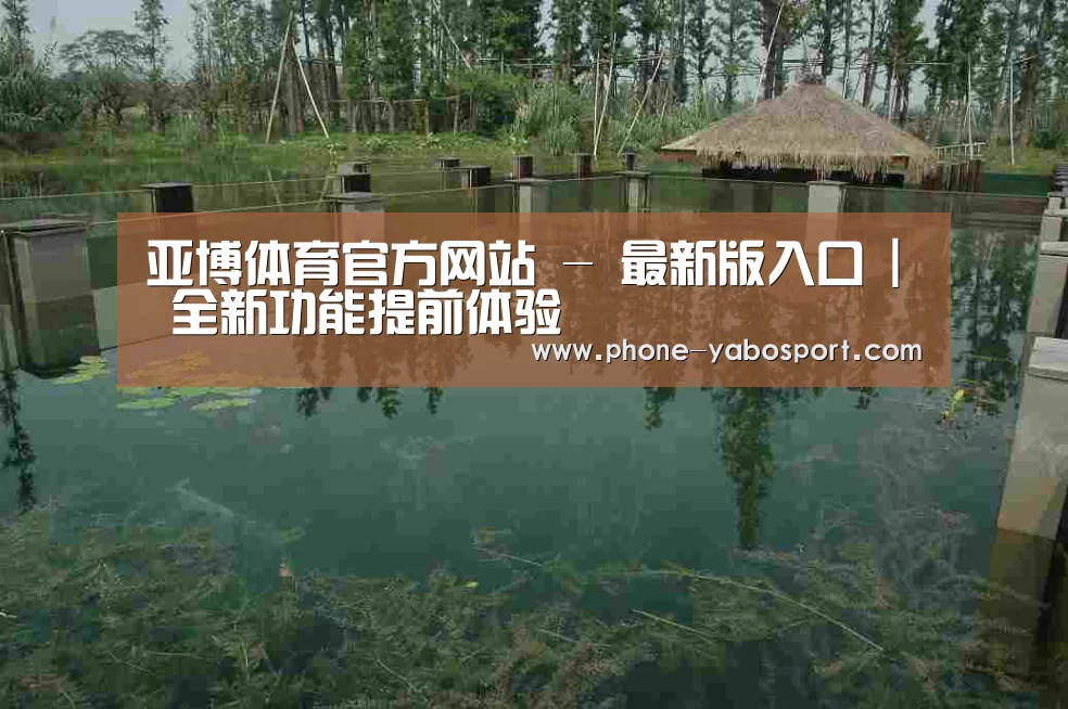 案例展示二(图1)