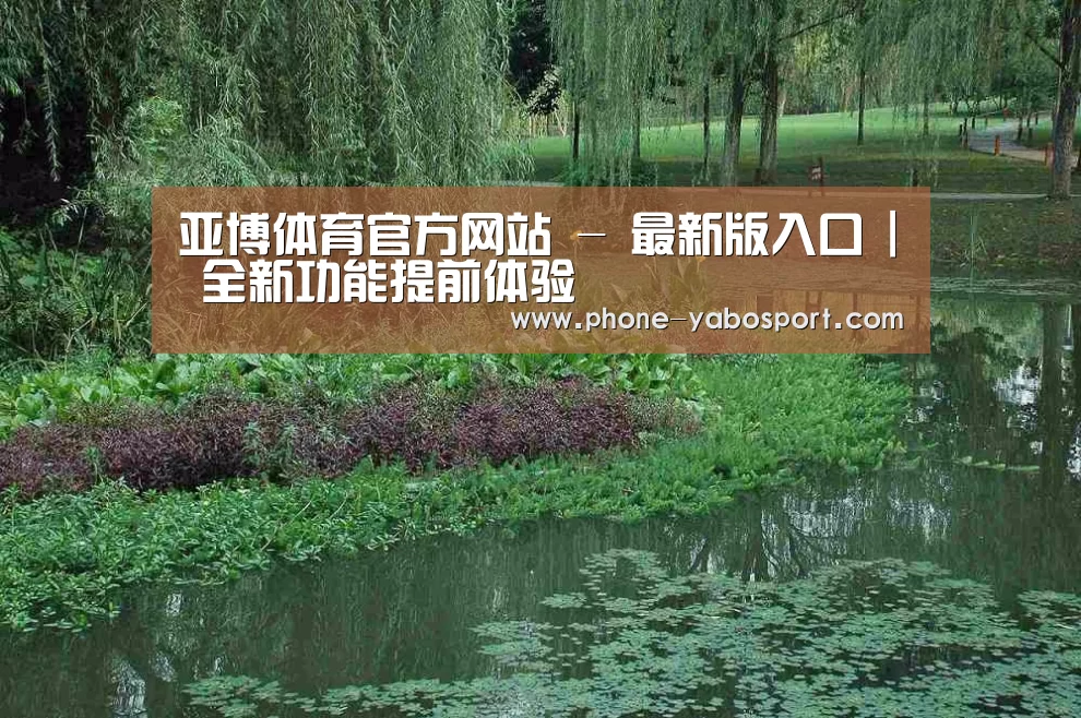 案例展示一