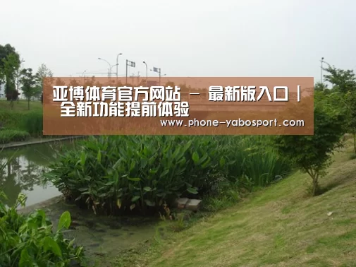 案例展示四