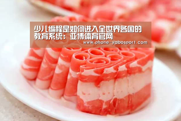 少儿编程是如何进入全世界各国的教育系统：亚博体育官网(图3)