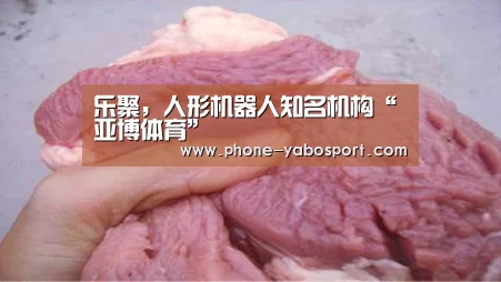 乐聚,人形机器人知名机构“亚博体育”(图1) 亚博官网